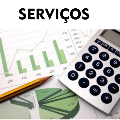 CONTROLE DE ORÇAMENTOS MENSAIS, gerencial e analítico